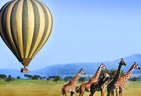 Serengeti Flying Safaris