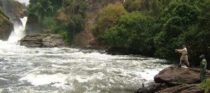 Sport Fishing Safaris
