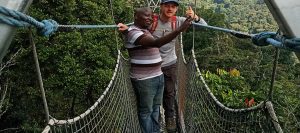 Canopy Walks in Nyungwe Rwanda
