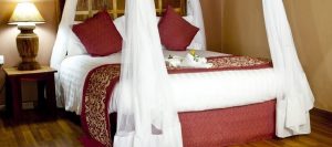 Accommodation in Kibale