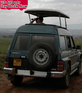 one of our car for ire on self drive
