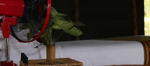 Accommodation in Queen