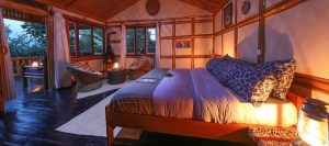 Accommodation in Bwindi