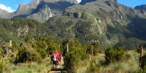 Mountain Elgon National Park Uganda