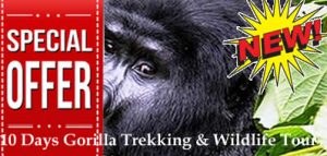 10 Days Gorilla Trekking and Wildlife Tour