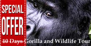 10 Days Gorilla & Wildlife Tour