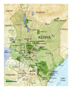 Kenya national Park