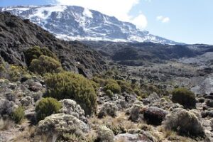 Climbing Mt Kilimanjaro