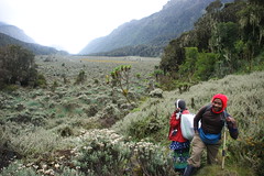 rwenzori 2