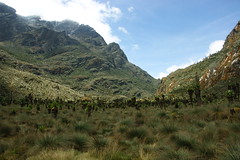 kirembe circuit