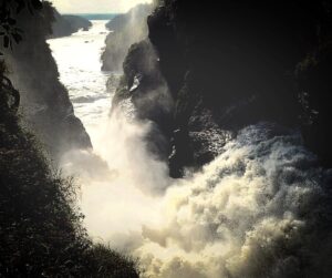 Murchison falls national park