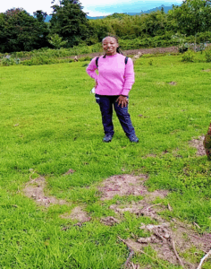 volcanoes national park