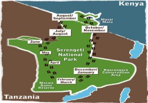 the map showing great migration in serengeti
