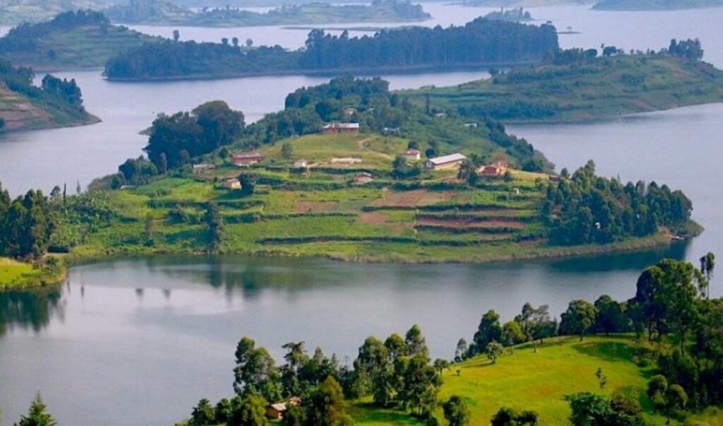 1 Day volcanoes gorilla trekking from Bunyonyi