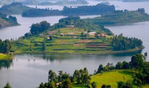 1 Day volcanoes gorilla trekking from Bunyonyi