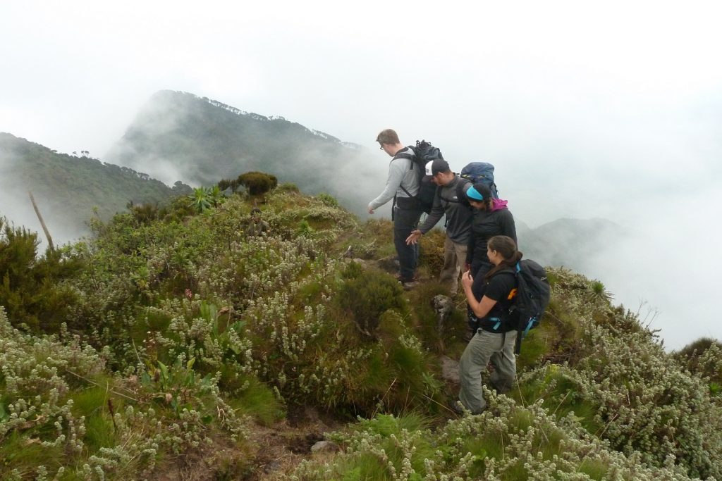 1 day Mount Sabinyo hike from Kigali