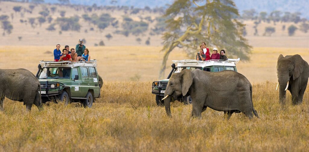 1-day Ngorongoro crater visit