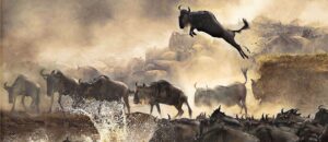 10 days Magical Uganda and Kenya: wildebeest &gorillas