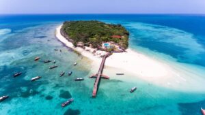 14 Days Best of Africa Rwanda Tanzania & Zanzibar Safari