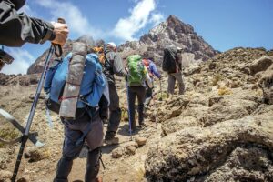 14 Days Kilimanjaro Hike and Northern Circuit Safari