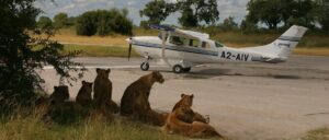 2 Days Queen Elizabeth Wildlife Safari