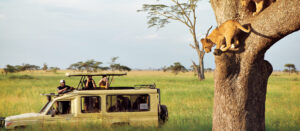 20 Days Best of Tanzania Northern Circuit and Coastal Region Safari