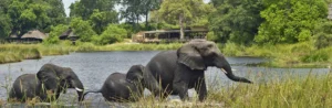 3 Day Tarangire national park: All inclusive budget safari