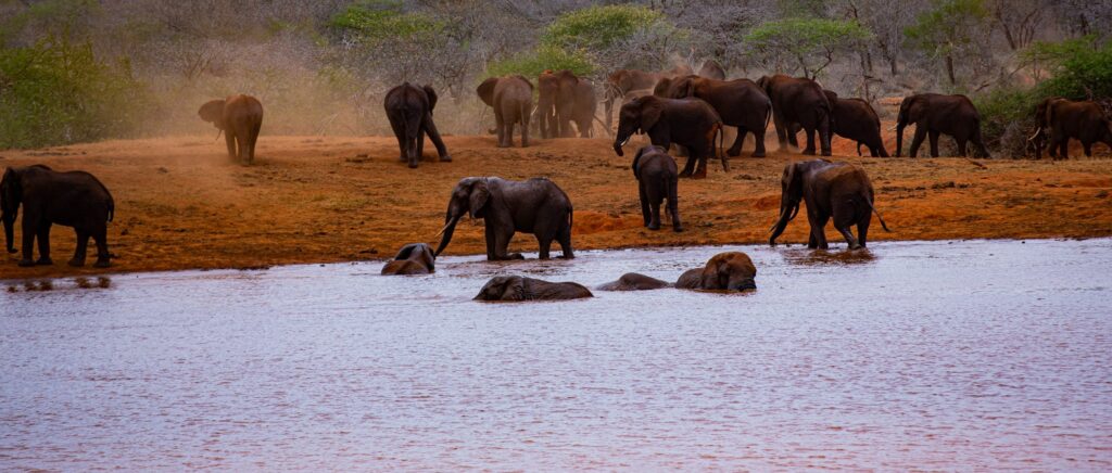 3 Days Samburu National Park Safari