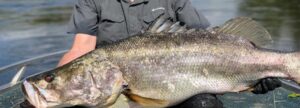 4 Days Fishing Trip Murchison Falls