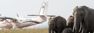 4 Days Murchison Falls Wildlife Safari