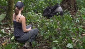 4 Days Ngamba Gorilla Safari