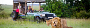 5 Days Game Viewing Safari