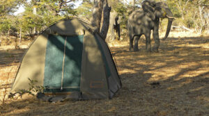 5 Days Kenya Camping Safari