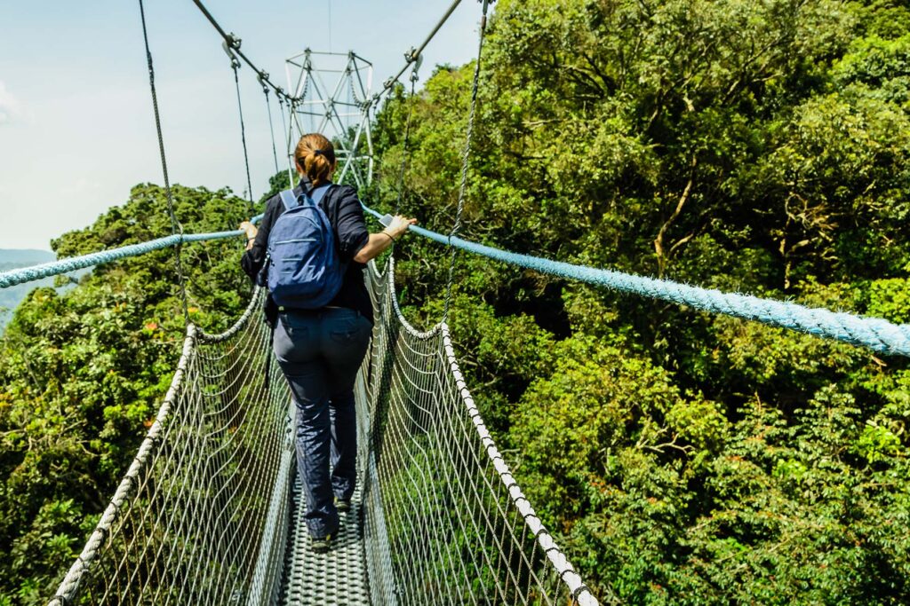 6-Day chimpanzee, gorillas & canopy walk in Rwanda