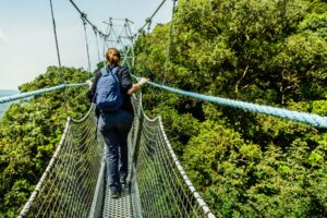 6-Day chimpanzee, gorillas & canopy walk in Rwanda