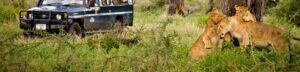 7 Days Gorilla & Wildlife Safari Tour