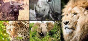 7 Days Tanzania Northern Circuit Safari