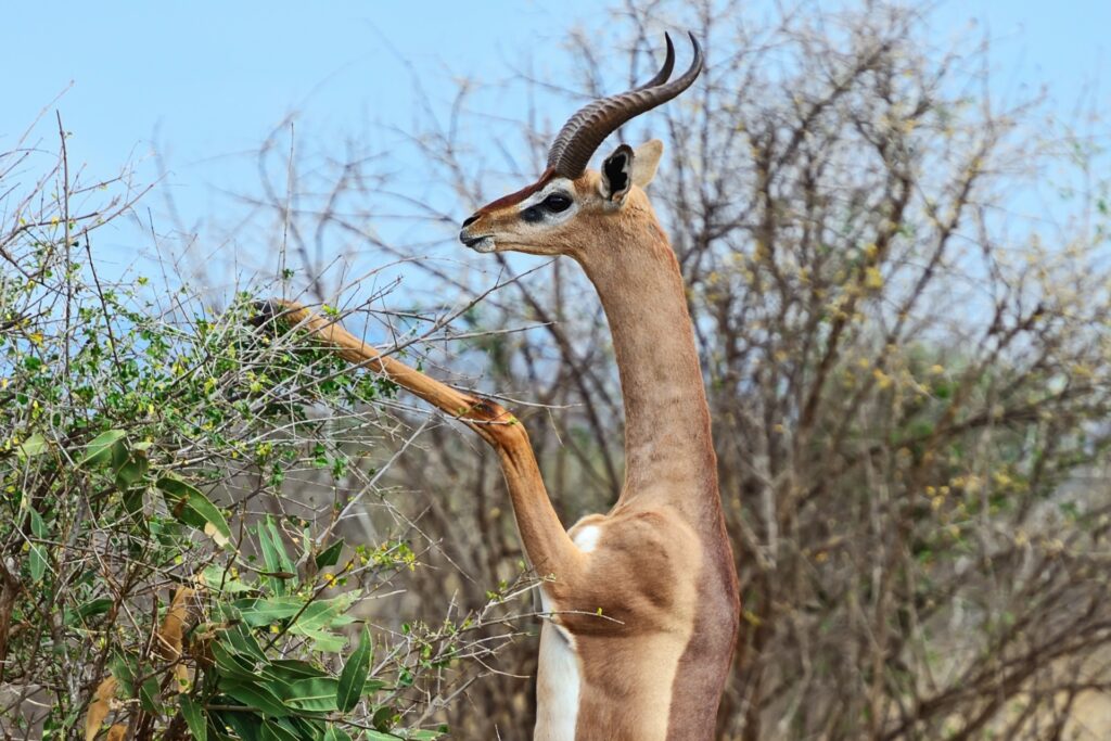 7-less known of Tanzania