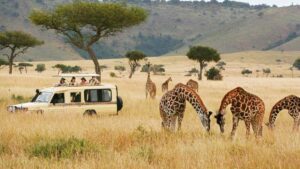 8 Days Kenya wildlife Safari