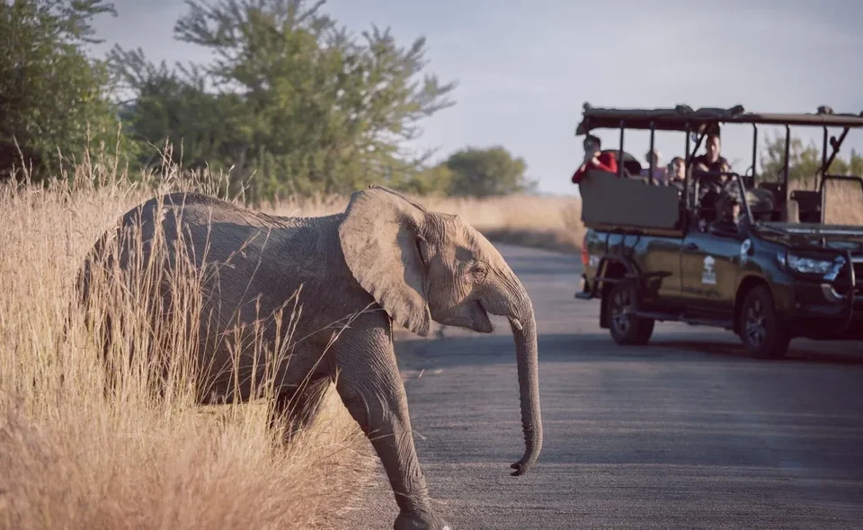 Adventure Vacations to Africa