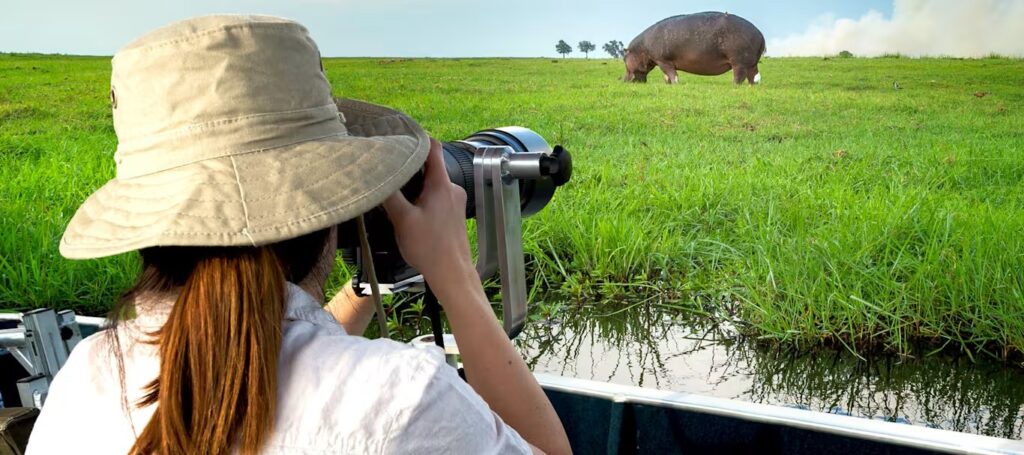 African safari: 10 destinations to go to (where & when?)