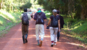 African safari plan by months: Where to go and when to go?