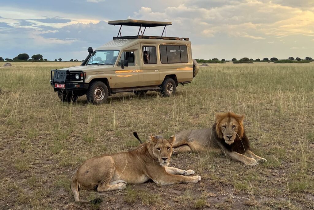 All inclusive Uganda budget safaris