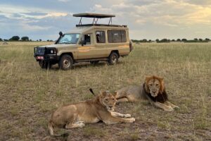 All inclusive Uganda budget safaris
