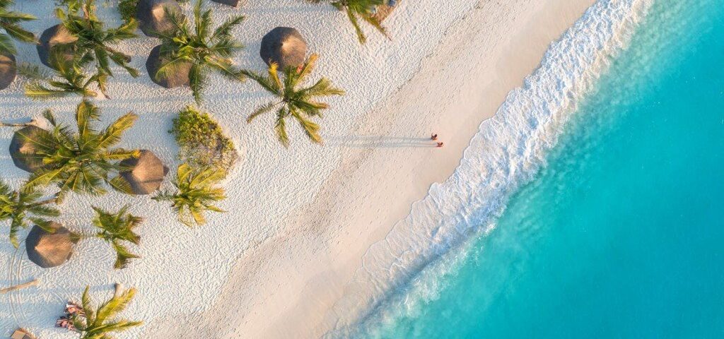 Best Vacation Safaris