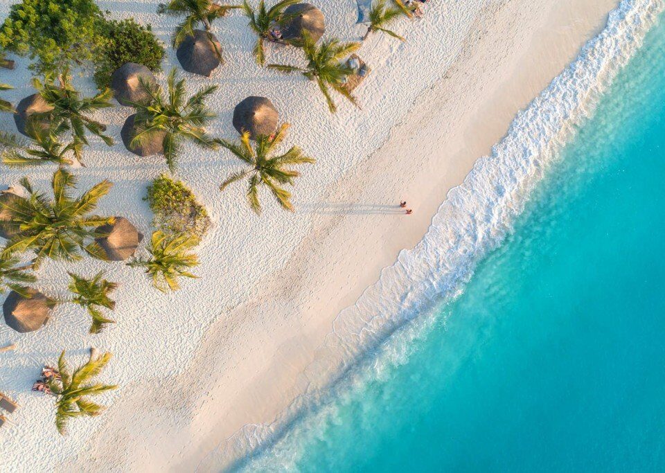 Best Vacation Safaris