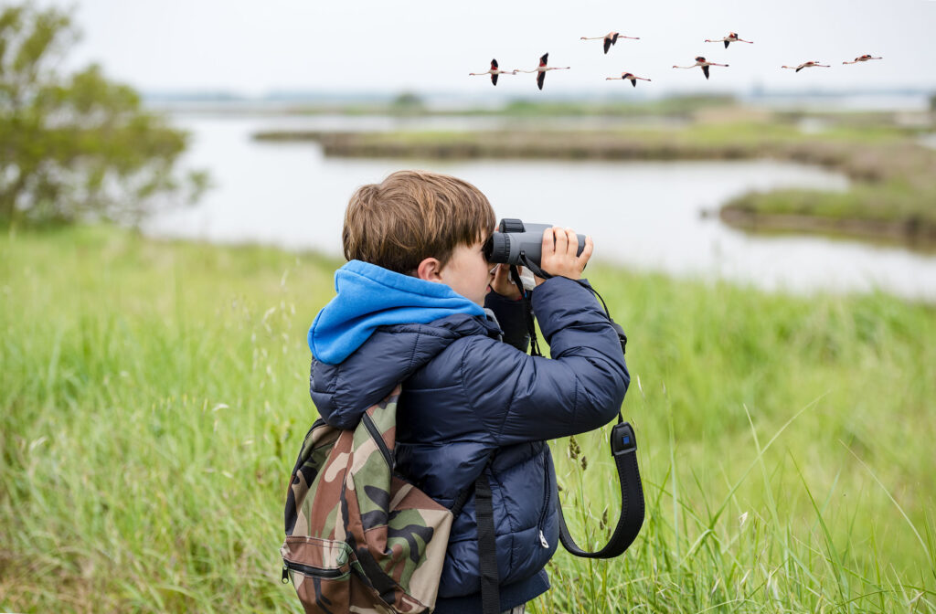 Best birding safari