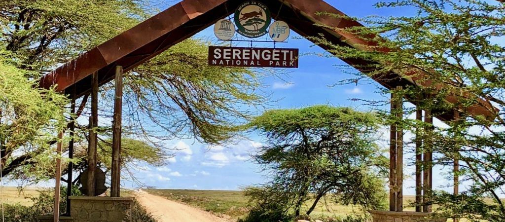 Costed 7 Day Tanzania: Arusha, Serengeti & Ngorongoro
