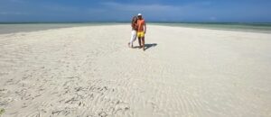 Escorted African beach safaris