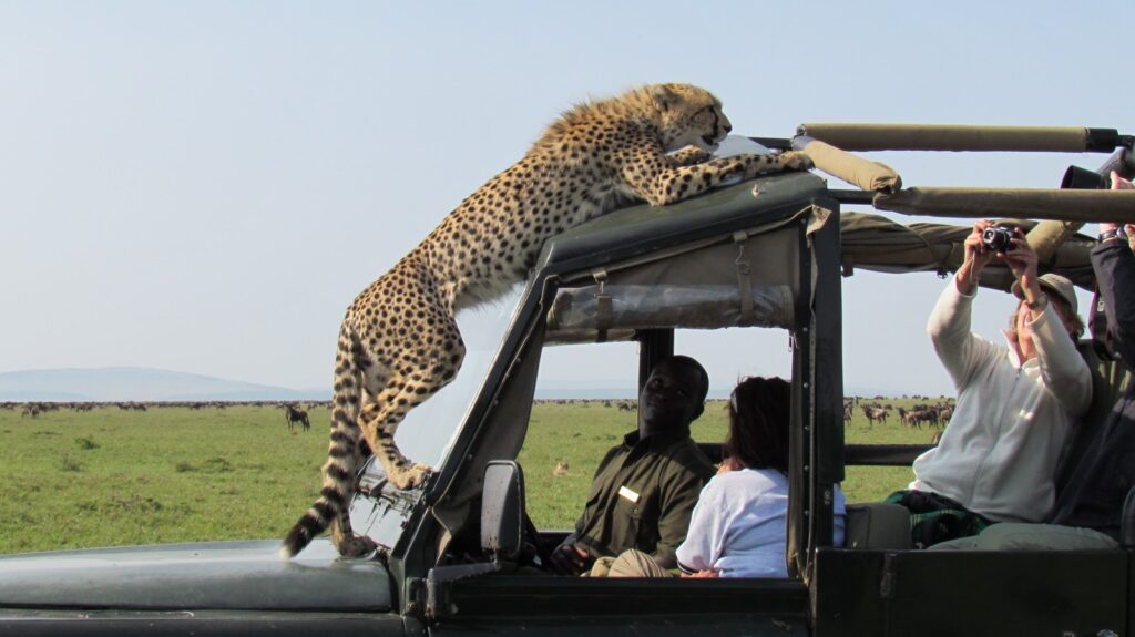 Exclusive East Africa Luxury Safari